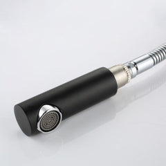 洗面蛇口 スプレー混合栓 ホース引出式 洗髪用水栓 黒 H25cm - Kansofurni