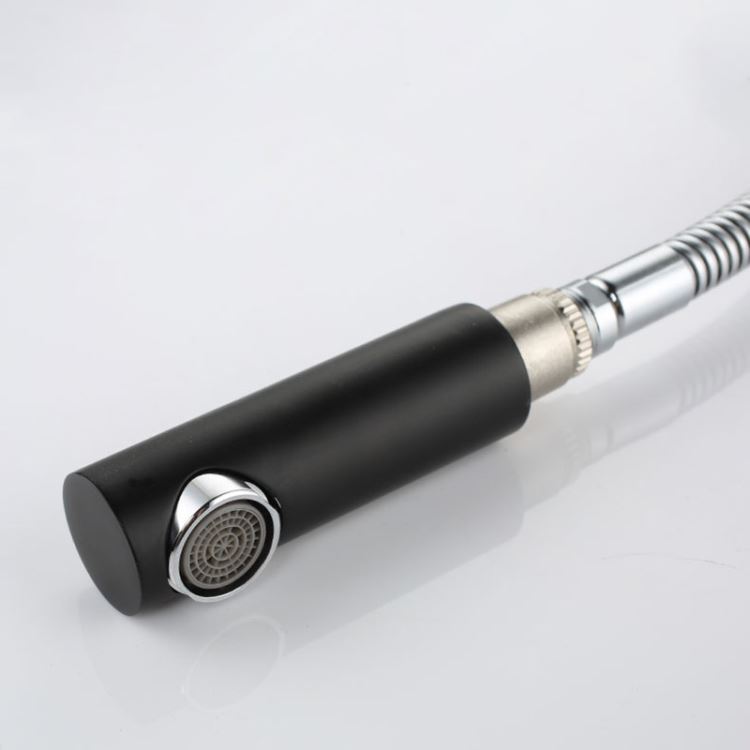 洗面蛇口 スプレー混合栓 ホース引出式 洗髪用水栓 黒 H25cm - Kansofurni