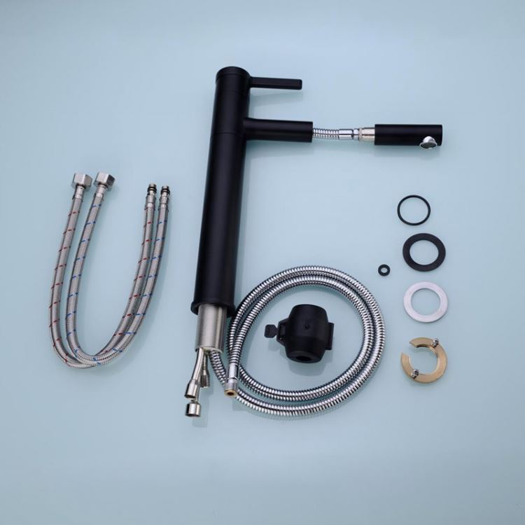 洗面蛇口 スプレー混合栓 ホース引出式 洗髪用水栓 黒 H25cm - Kansofurni