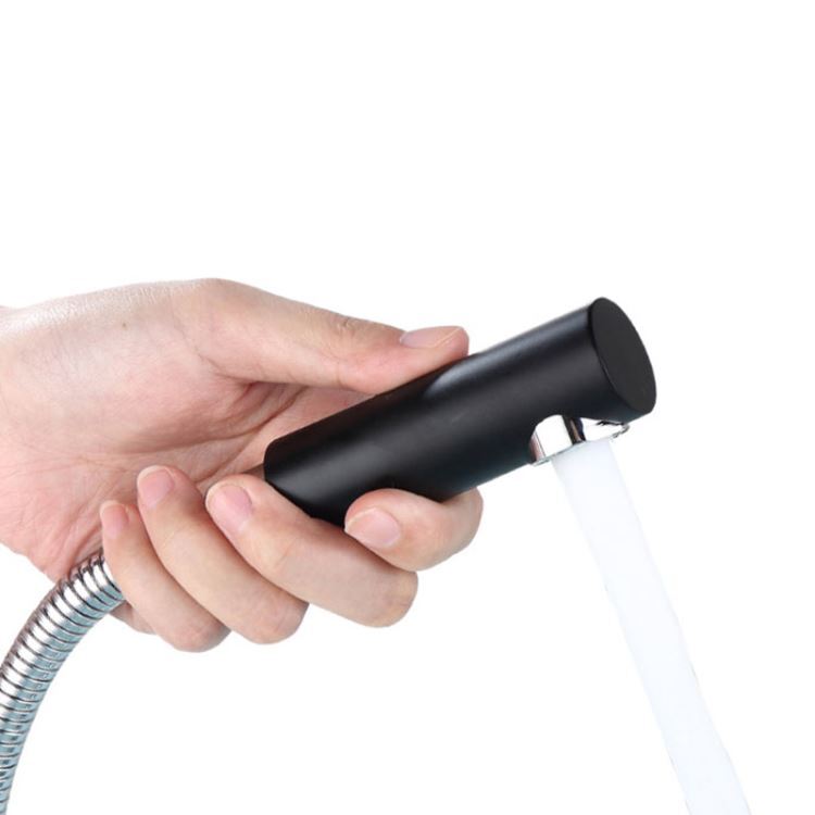 洗面蛇口 スプレー混合栓 ホース引出式 洗髪用水栓 黒 H25cm - Kansofurni