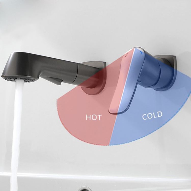 壁付水栓 浴室キャビネット蛇口 引出し水栓 洗面蛇口 冷熱混合栓 整流＆シャワー吐水式 ガングレー - Kansofurni